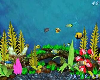 Aquarium Desktop Wallpaper Tes