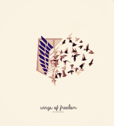 Wings Of Dom Wallpaper Image In The Anime Club Tagged Photo