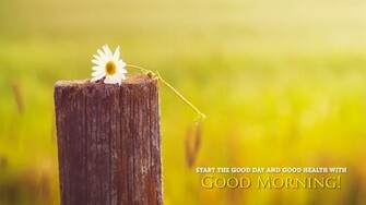 Good Morning Flower Thought Wallpaper New HD