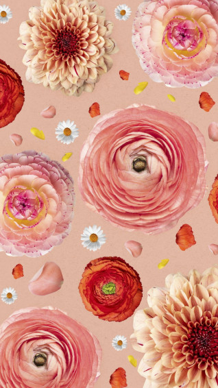 Aesthetic Persian Buttercups iPhone Wallpaper Photo