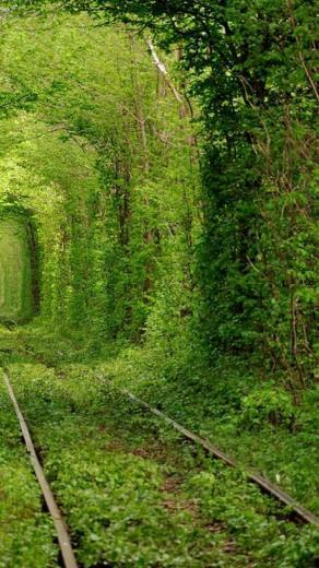 Nature Love Tunnels Ukraine Wallpaper