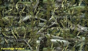Camo Fish Related Keywords Suggestions Long Tail