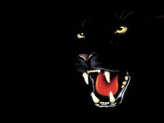 Pictures Panther 3d Wallpaper And