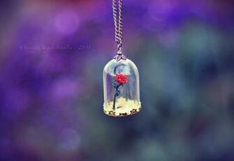 Best Enchanted Rose Background Vintage
