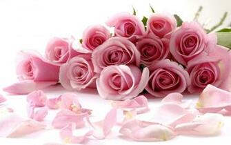Love And Romance HD Natural Roses Wallpaper World