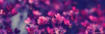 Cute Wallpaper Beautiful Fb Group