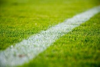 Close Up Of A White Line On Green Grass In Soccer Field Photo