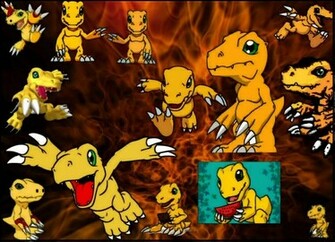 Agumon Background Photo Agumon1 Jpg