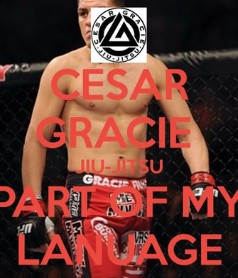 Gracie Wallpaper