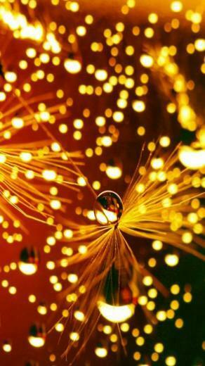 Christmas Light iPhone Wallpaper HD