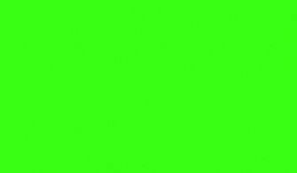 Solid Neon Green Background