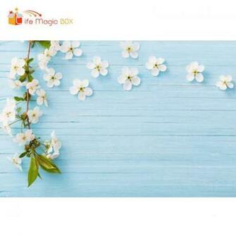 Life Magic Box Background Photography Studio Baby Blue Wood Floral