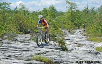 Fat Bike Wallpaper Ricky