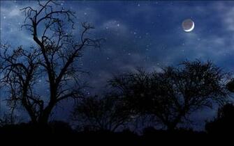 Wallpaper Stock Widescreen HD