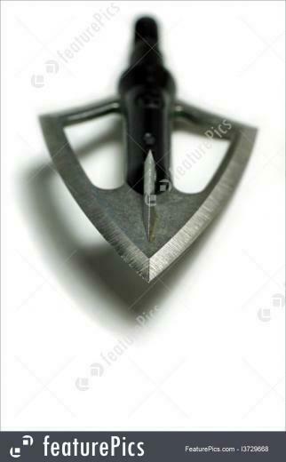 Outdoor Activity Arrow Broad Head Stock Picture I3729668 At