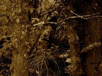 Hunting Camo Wallpaper Search Results Quotewallpaper Tk