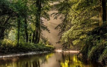 Nature Landscape Sun Rays River Forest Mist Water