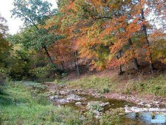 Woods Waters Wallpaper Of The Scenic Ozark Mountains