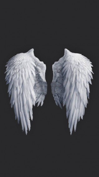 Toedit Angel Wing Background Background Frame Border