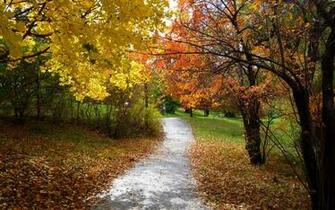 Autumn Trail Wallpaper