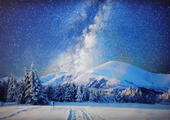 Amazon Beleco Fabric Winter Snowy Forest Night