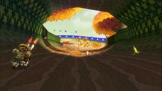 Mario Kart Wii Wallpaper