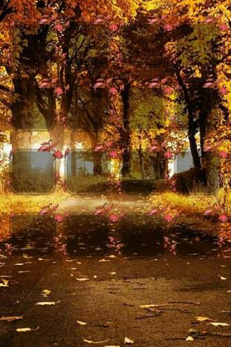 Autumn Leaves