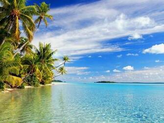 Wallpaper Palm Trees Coast Gulf Inclination Blue