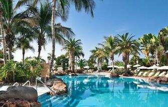 Wallpaper Palm Trees Pool Resort Palma De Mallorca Baleares