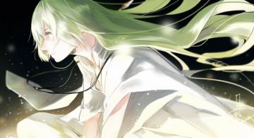 Mizutamari Tori Fate Grand Order Enkidu Wallpaper