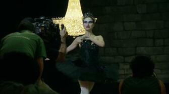 Black Swan Wallpaper