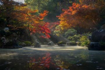 Zen Garden Pictures HD Image