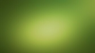 Light Green Background Desktop Wallpaper