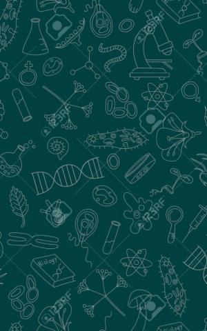 Seamless Background With Hand Drawn Icons On The