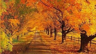 Fall Scene Wallpaper Desktop Id