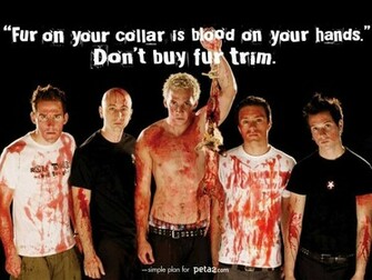 Vegetarians Simple Plan Supports Peta