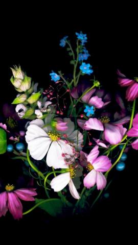 HD Wallpaper From Above Link Garden Flowers