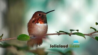 Jolicloud Wallpaper