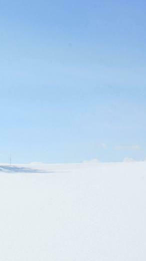 Pure White Snow iPhone Wallpaper