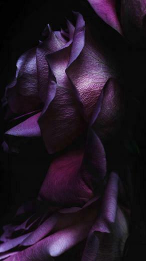 Ios Wallpaper Now Available To