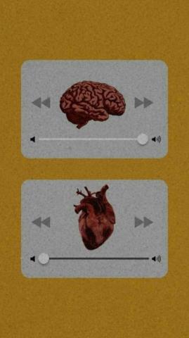 Heart Vs Mind Discovered By Mariam Magdy On We It