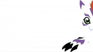 Wallpaper Gomamon HD Digimon Adventure