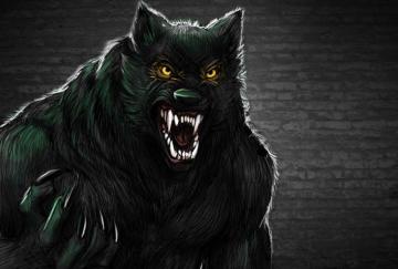 Werewolf Wallpaper 4k Ultra HD For Android Apk