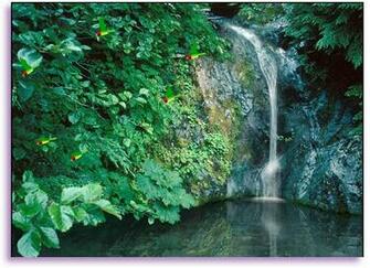 Live Waterfalls Screensavers With Sound Memes