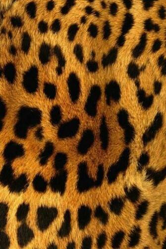 Animal Print Wallpaper Blue Cheetah Ecro