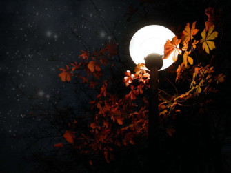 Autumn Evening X Wallpaper