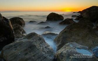 Pacfic Coast Sunset Wildlife Wallpaper Desktop