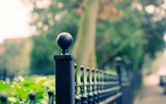 Close Up Fence Fencing Tree Leaves Blur Background Wallpaper