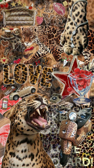 Leopard Aesthetic Wallpaper