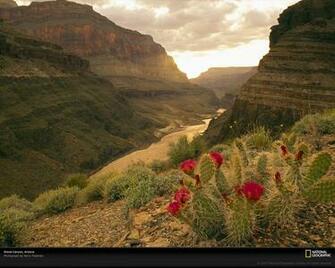 Grand Canyon Picture Colorado River Wallpaper Photos